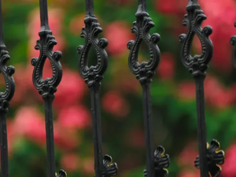 Gros plan de barreaux en fonte noire à motifs en goutte, fleurs rouges floues
