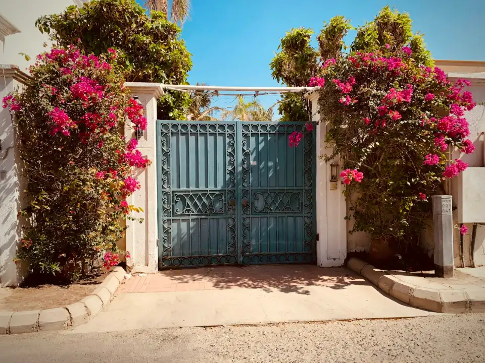 Portail battant en fer bleu à volutes entre deux piliers blancs et des bougainvilliers en fleurs